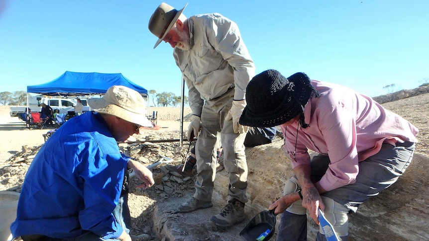 Three people with spades and brushes in hand extricate a fossil from soil at Richmond in Queensland.