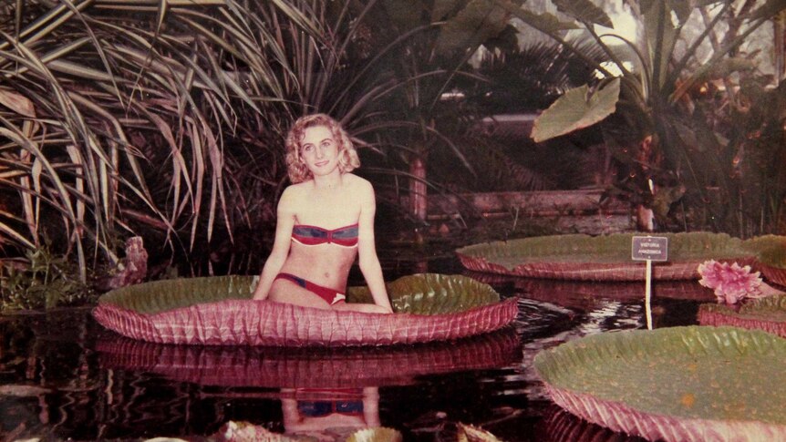 A woman rests on a water lily pad
