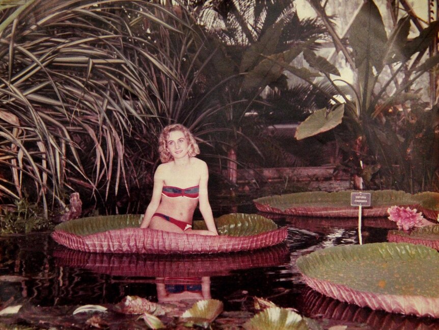A woman rests on a water lily pad