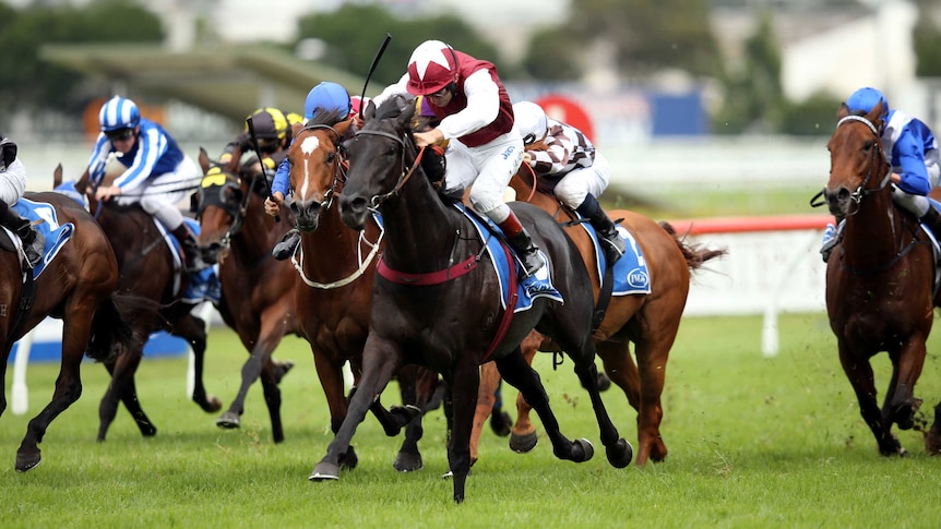 Appearance wins Queen Of The Turf Stakes