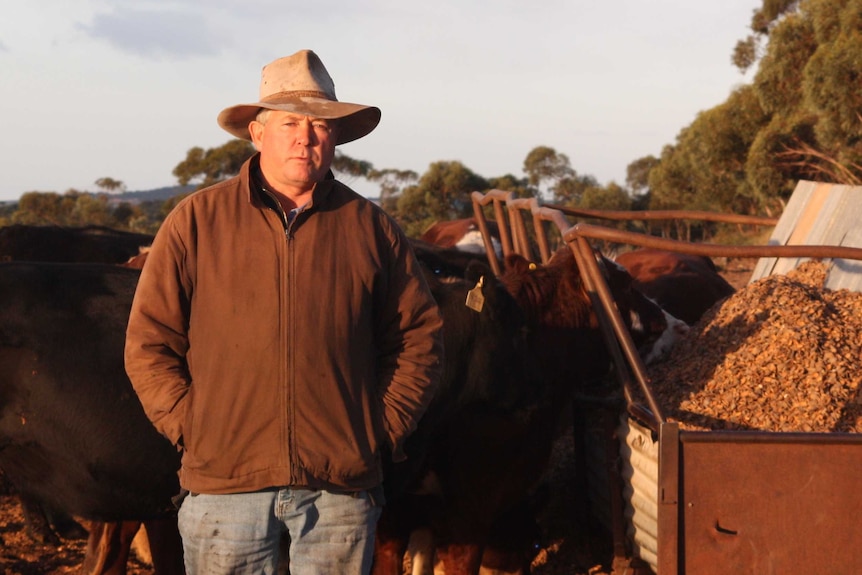 Farmer Leonard Vallance standing in front of cows feeding