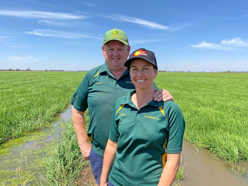 A man and a woman standing on a dirt bank in paddock of green rice, they are smiling.