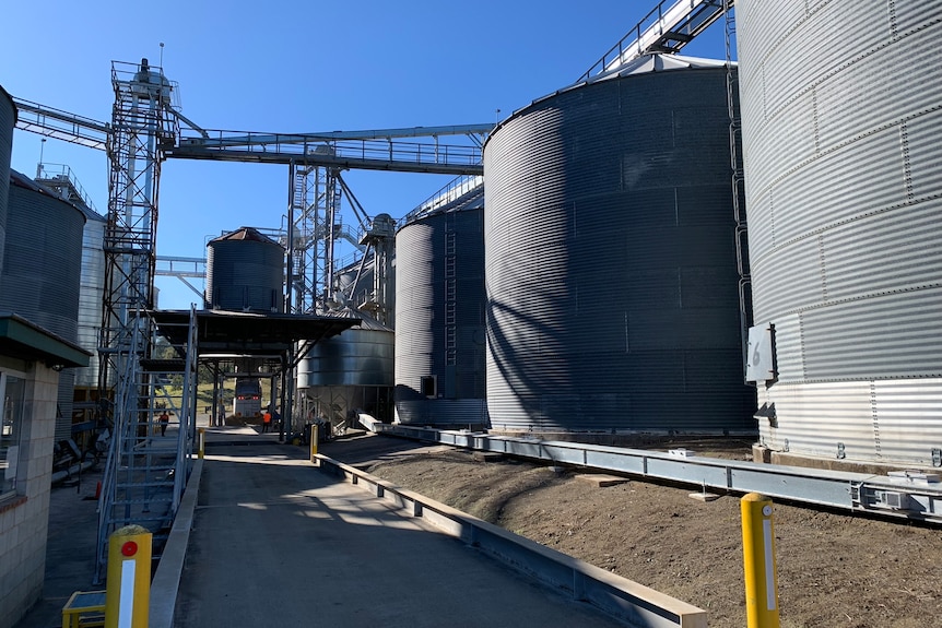 Big grey silo's containing rice line down a road at the Natural Rice facility. 