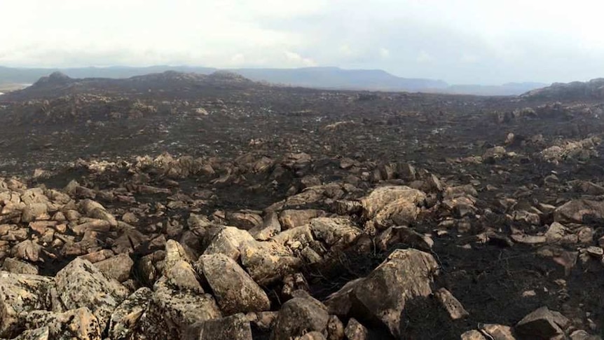 Burnt land in Tasmania's World Heritage Area