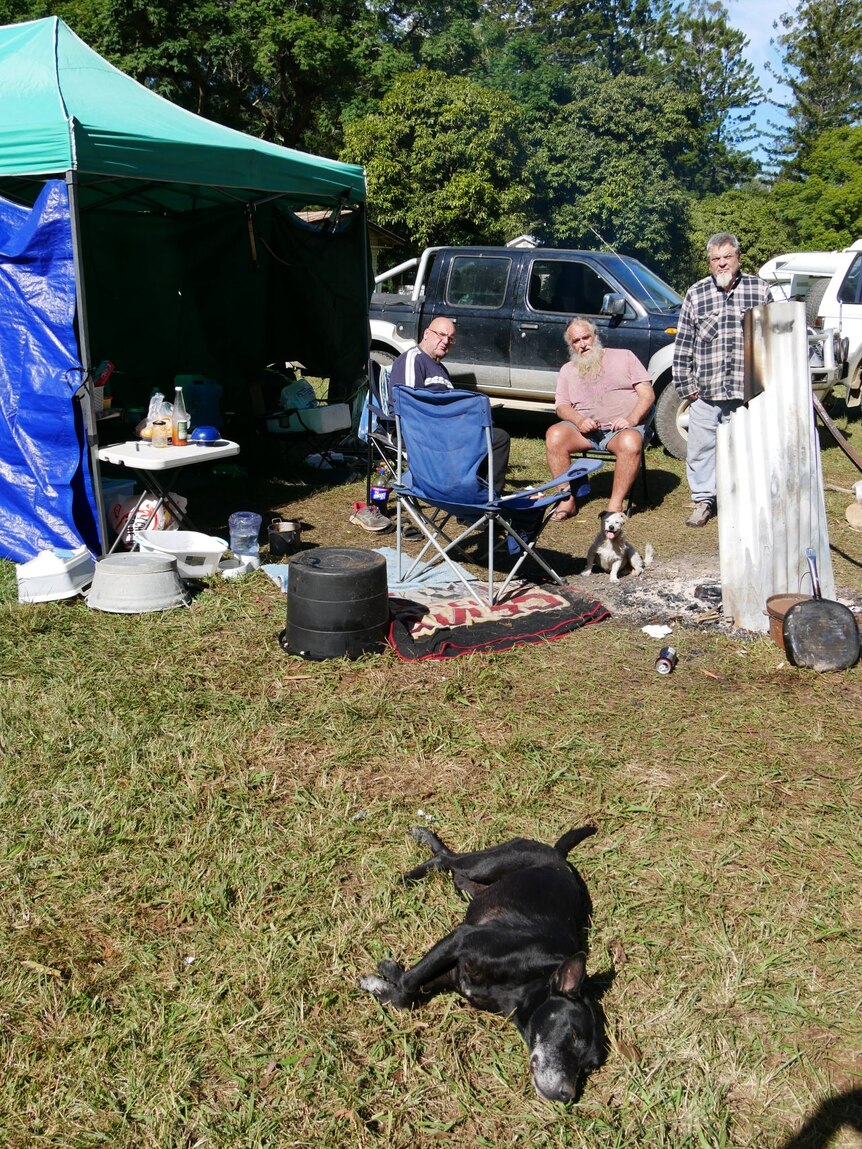 Three men sit in camping chairs by a fire with a black, deaf dog sleeping in the sun on the grass, with a marquee behind them