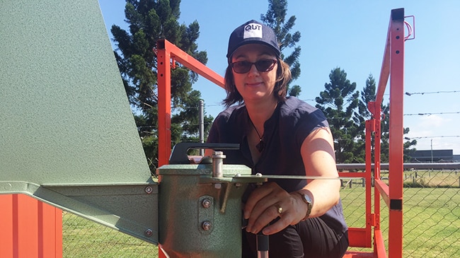 Pollen: QUT Associate Professor Janet Davies