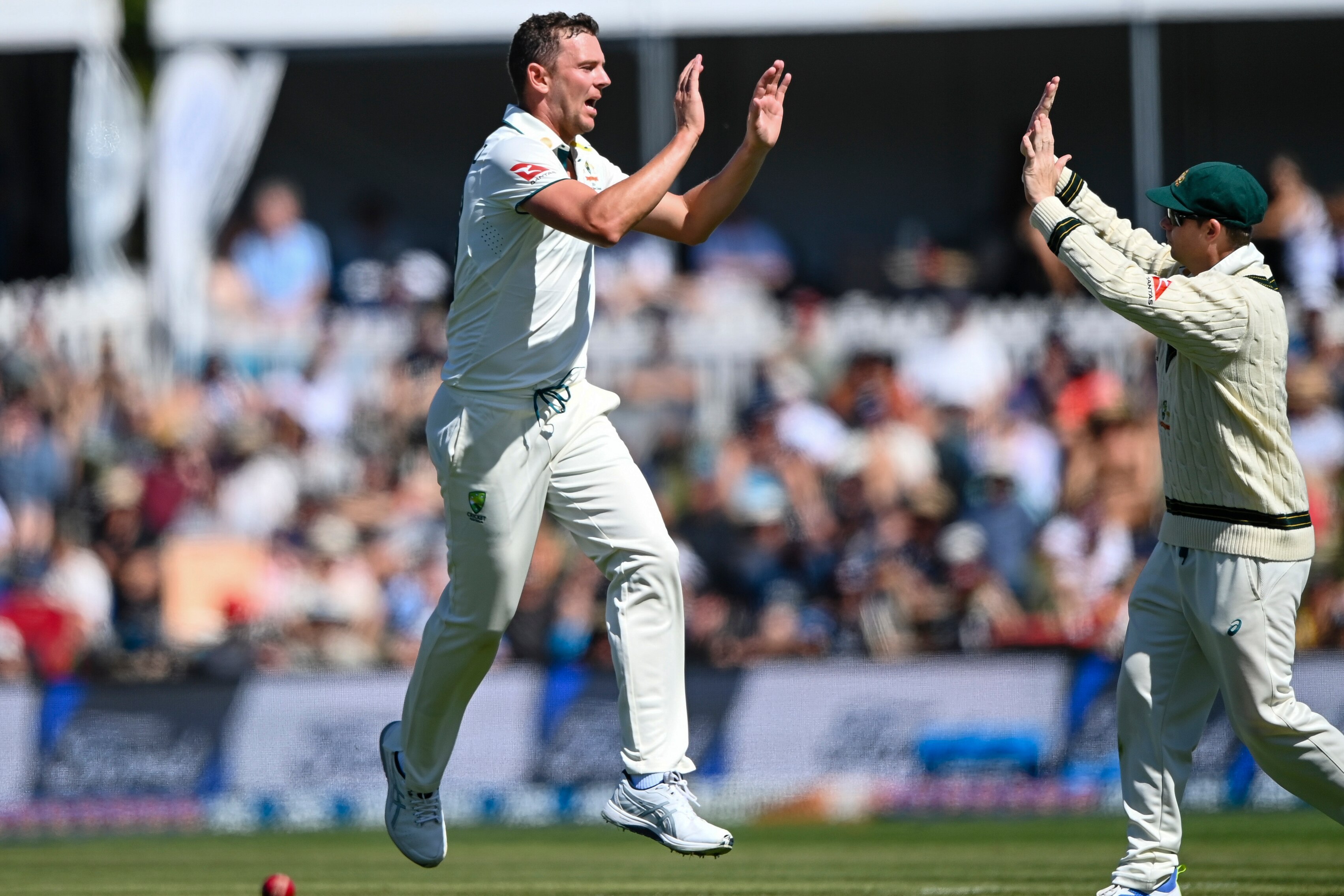 Josh Hazlewood high fives Steve Smith