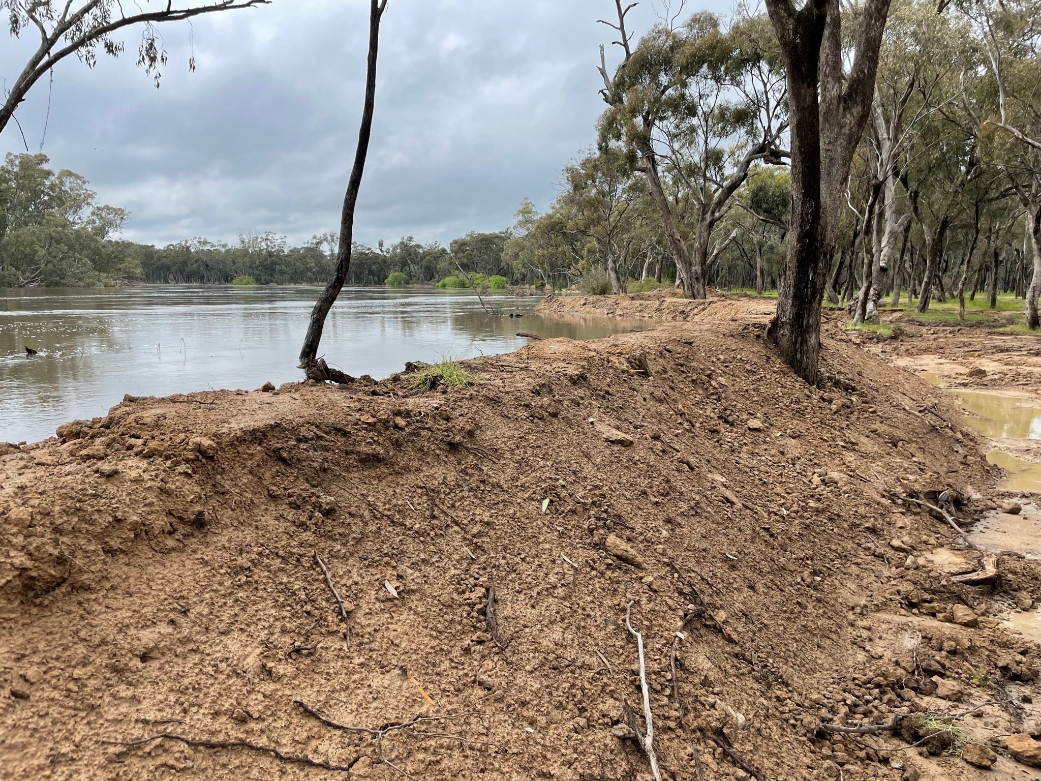 Flood-affected Farmer Says Large-scale Help Needed Amid Fears Victorian ...