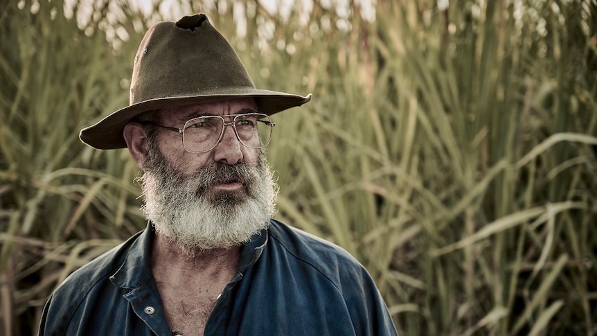 Bearded man in Akubra with cane fields behind stares into distance