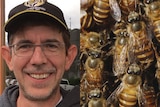 Ben Lohberger and honey bees, composite image.