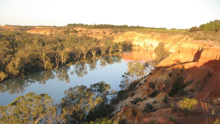 River Murray sunset