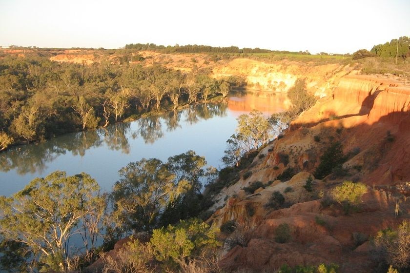 Late afternoon view of the River Murray at Paringa in the South Australian Riverland