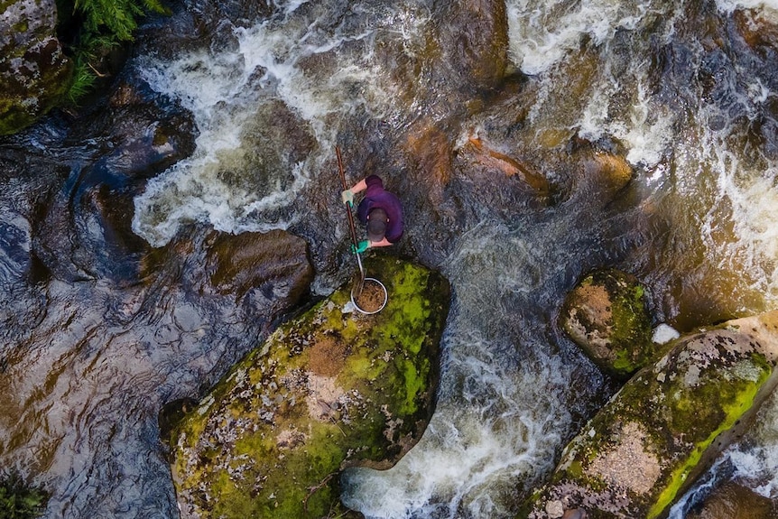 An aerial photo of a person sitting in a fast running creek panning for gemstones.
