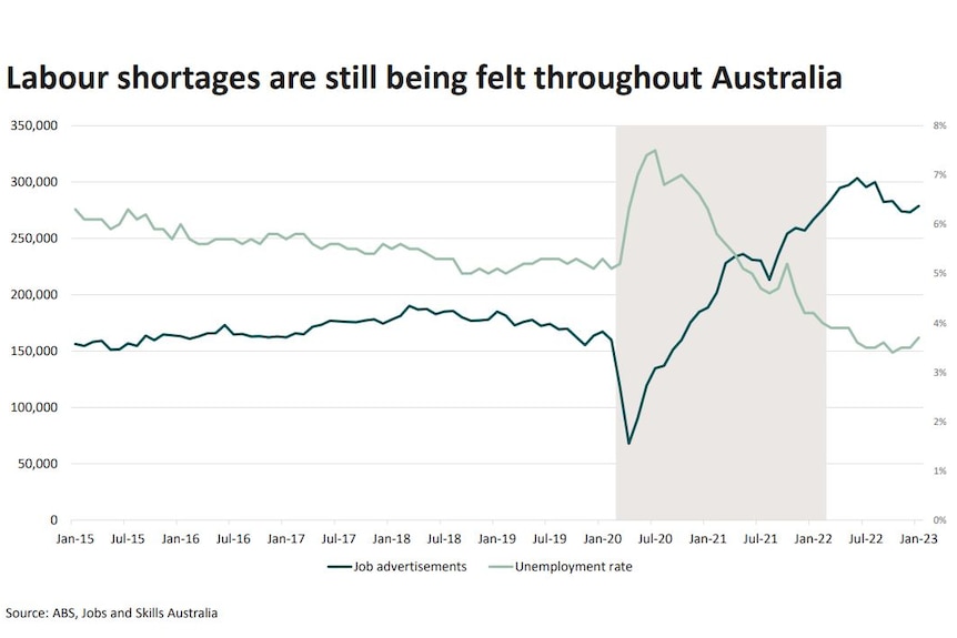 A graph showing job ads peaking higher than the unemployment rate.