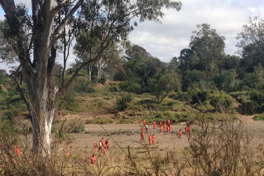 SES volunteers doing line search along riverbank