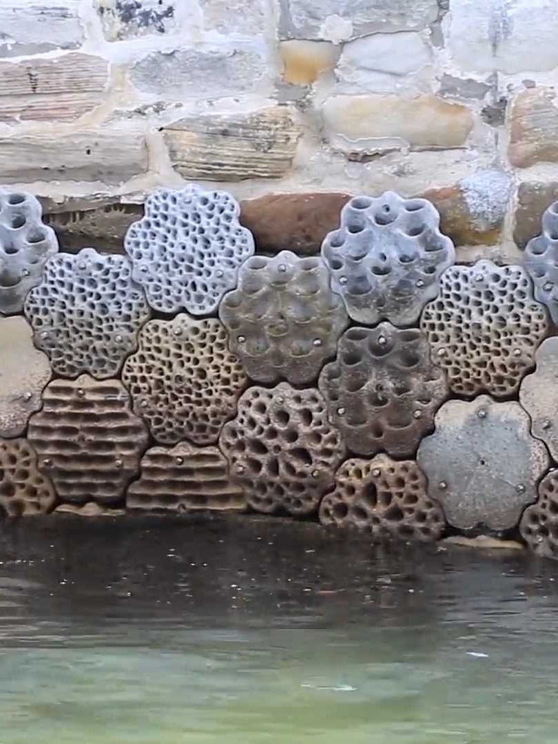 Looking beyond calm harbour waters, you look out to a sandstone seawall covered in different living seawall designs.