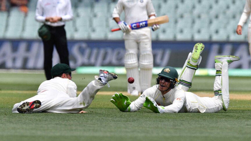 Tim Paine and Travis Head make a meal of trying to catch a cricket ball