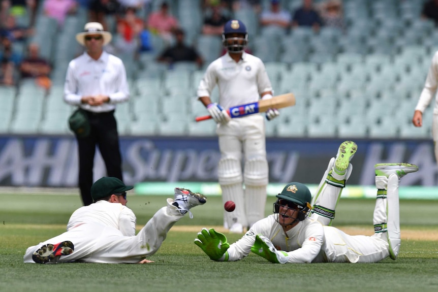 Tim Paine and Travis Head make a meal of trying to catch a cricket ball