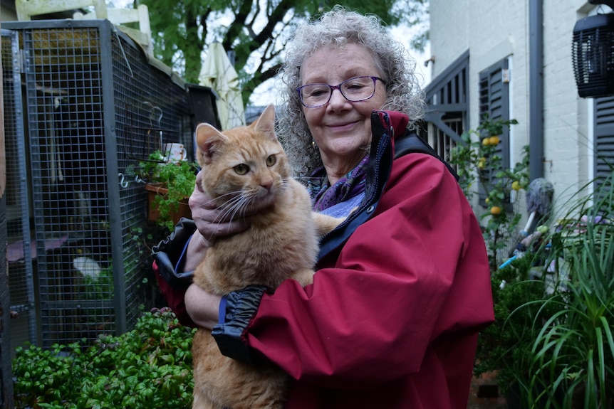 Anne Robbie from Windsor, New South Wales, poses in her home with Teddy, a ginger cat that was rescued d