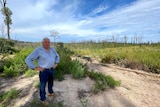 Ian Cane wears a blue shirt and jeans, standing in front of a logging coupe with many trees burnt and dead after the bushfires.