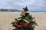A Christmas tree on a beach with grey skies