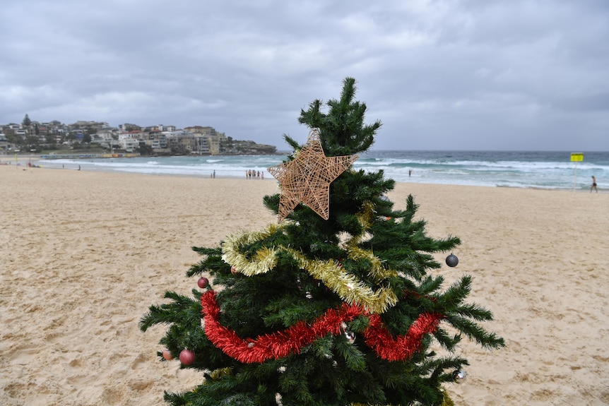 A Christmas tree on a beach with grey skies