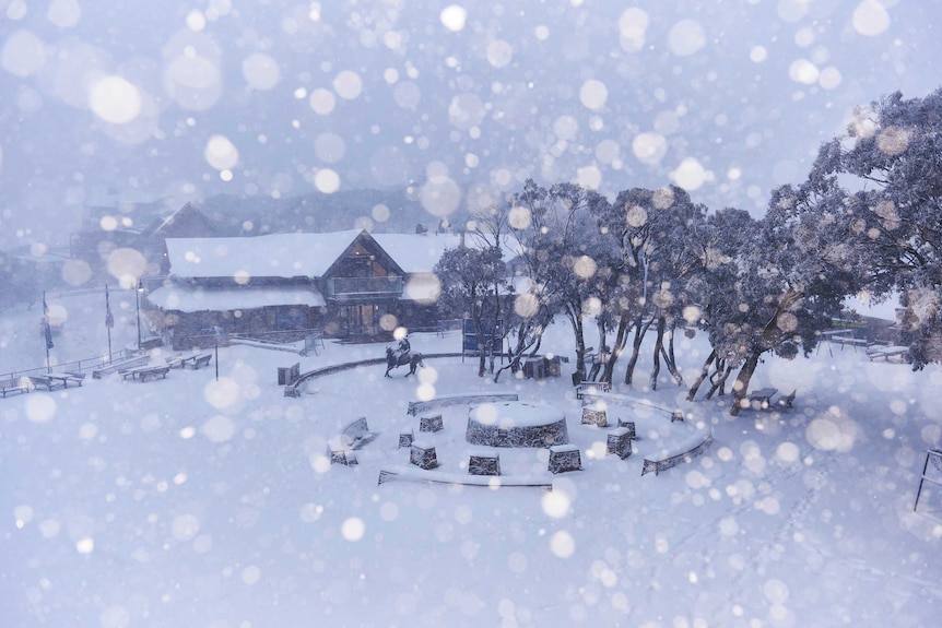 Snow at Mount Buller