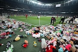 Stuffed animals lie on a green soccer pitch as soccer players pick them up