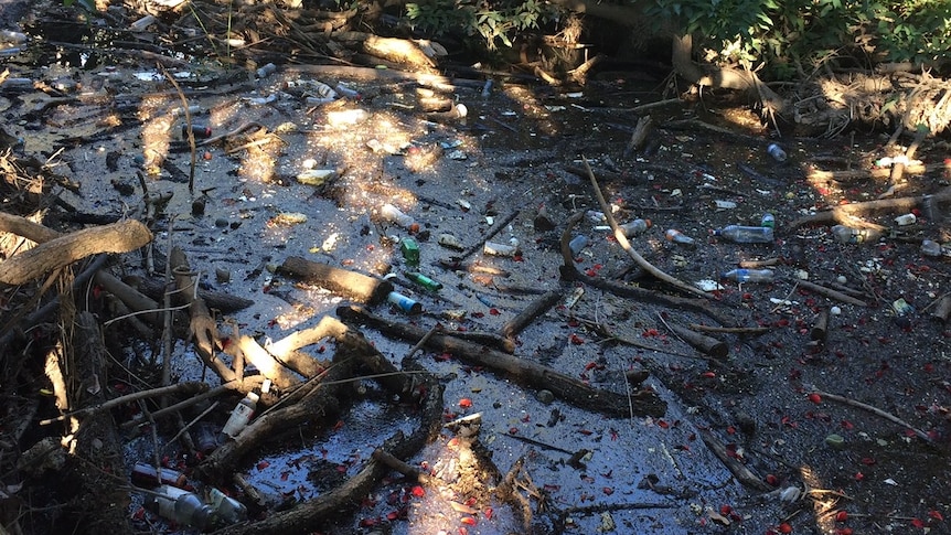 Storms have washed tonnes of rubbish into Brisbane's waterways.