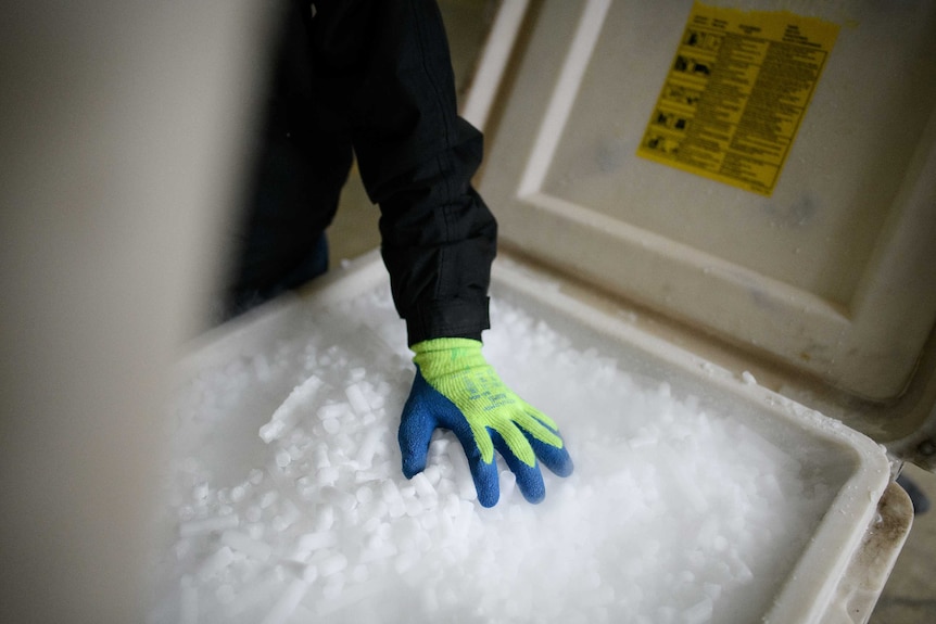 A fresh supply of coarse dry ice pellets