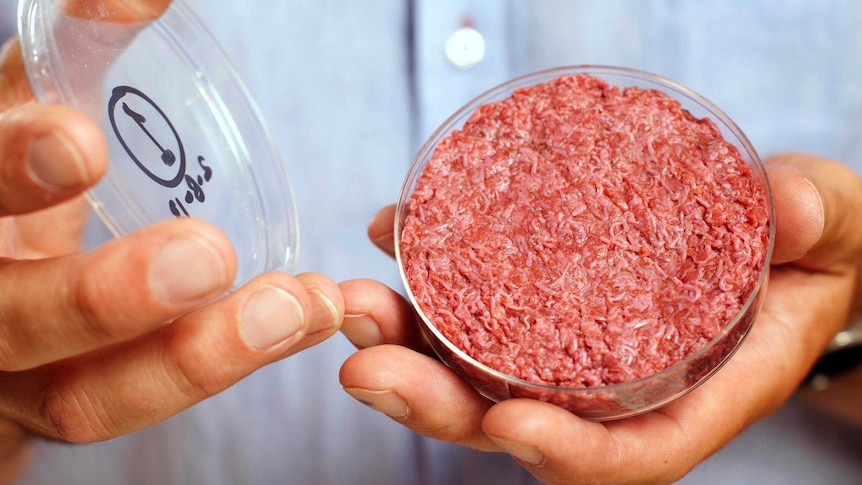 Professor Post believes the lab-grown beef could be produced for $80 a kilogram.