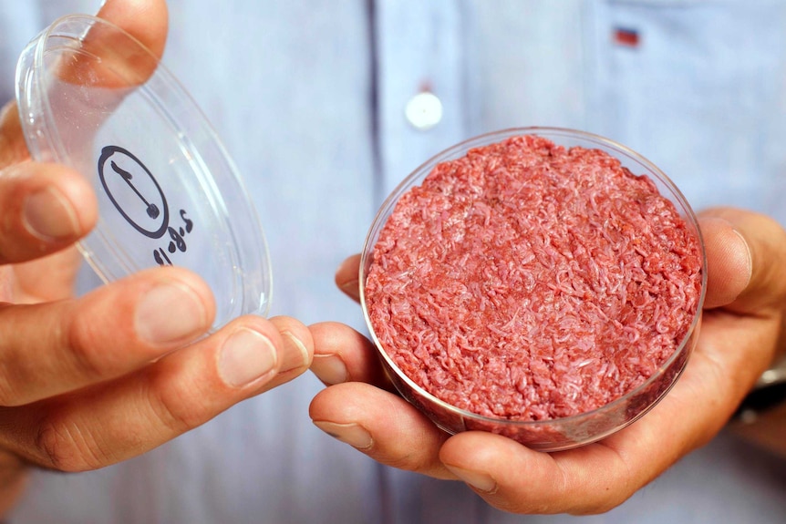 Professor Post believes the lab-grown beef could be produced for $80 a kilogram.