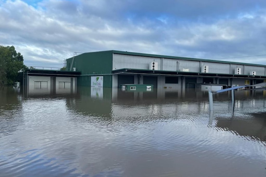 Warehouse with 2 meter deep water