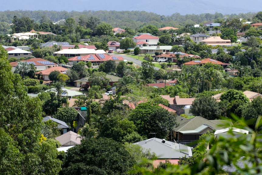 Houses on a hill. 