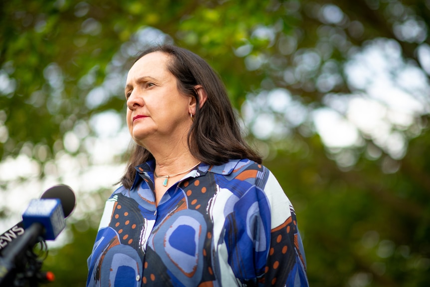 NT Independent MLA Robyn Lambley standing in front of a microphone, looking serious, outside on a sunny day.