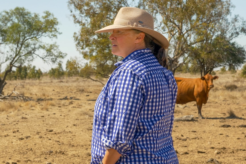 Jacque Hemmings stands in a paddock looking over cattle in a dry paddock near Dirranbandi, Queensland, August 2023.