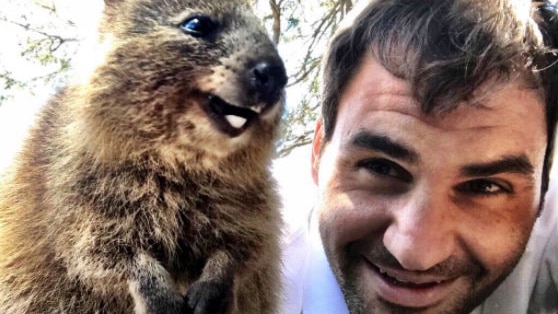 Roger Federer lies on the ground with his face close to a quokka.