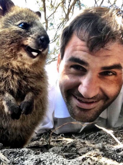Roger Federer lies on the ground with his face close to a quokka.