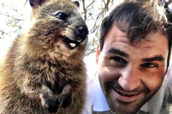 Roger Federer lies on the ground with his face close to a quokka.