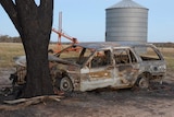 An incinerated car crashed into a tree with farm machinery in the background.