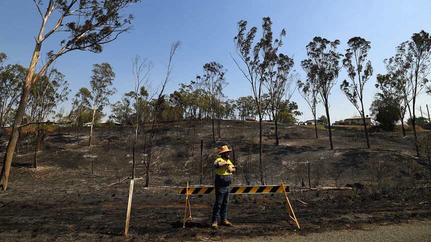 A council worker stands in front a burnt-out hill after bushfires at Mount Larcom, north-west of Gladstone.
