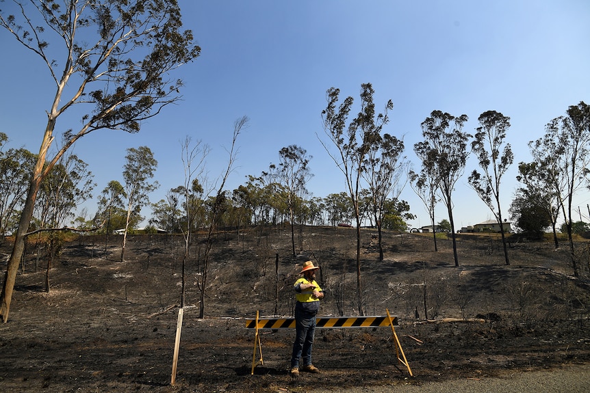 A council worker stands in front a burnt-out hill after bushfires at Mount Larcom, north-west of Gladstone.