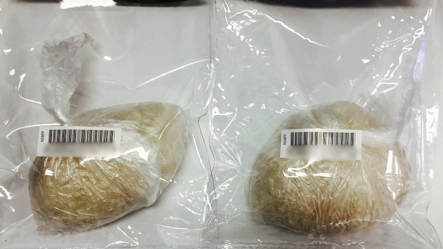Two air-tight bags containing wrapped packages of the drug known as ice.