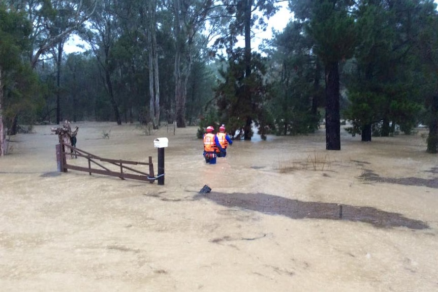 State Emergency Service volunteers making their way through flood waters in the Canterbury region.