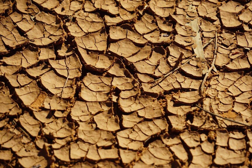 Dry conditions during drought