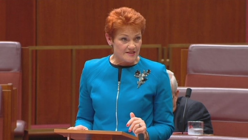 Pauline Hanson's maiden speech to the Senate
