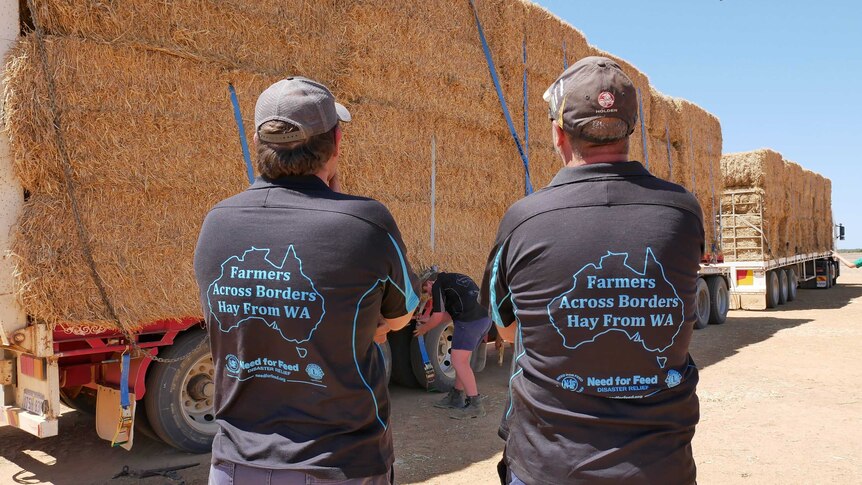 Two people wearing "Farmers Across Borders Hay from WA" shirts stand in front of trucks laden with hay bales.