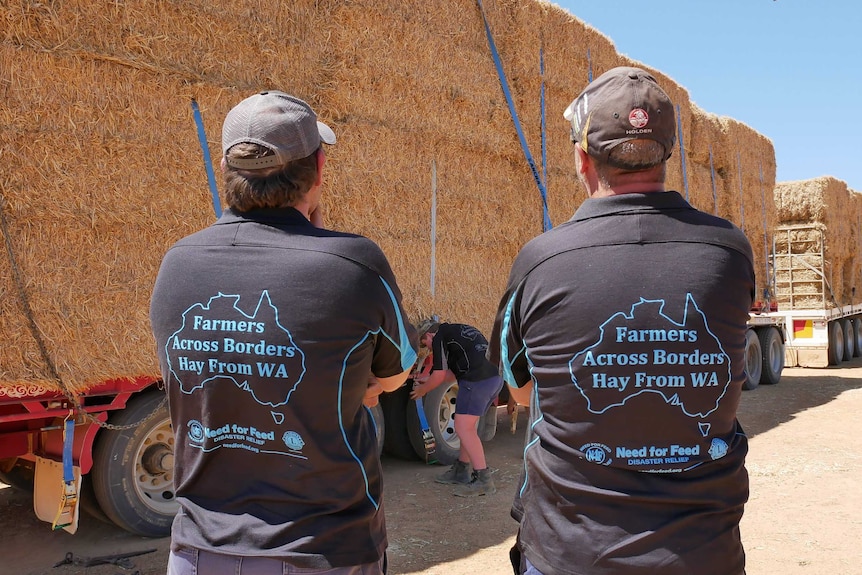 Two people wearing "Farmers Across Borders Hay from WA" shirts stand in front of trucks laden with hay bales.