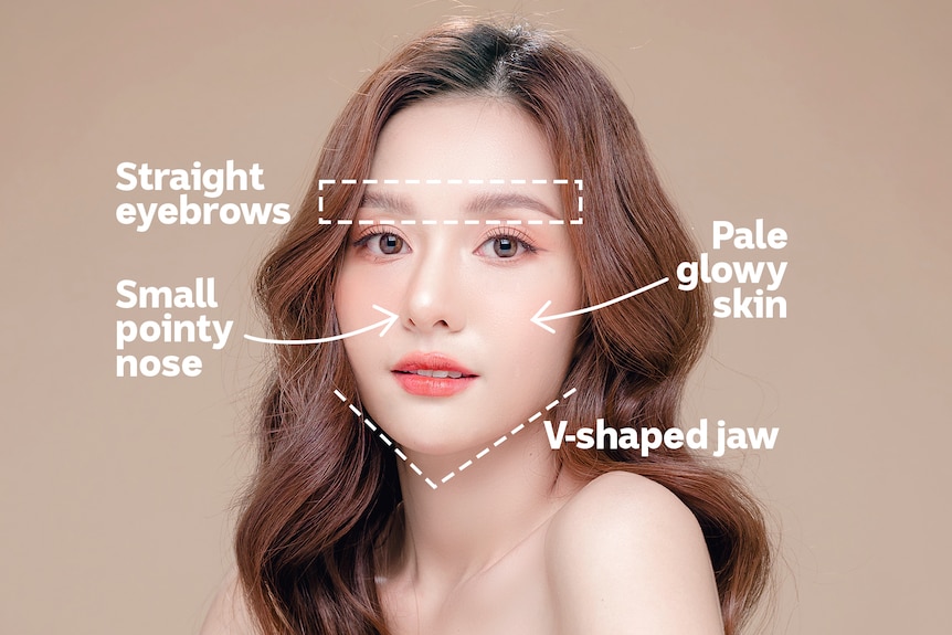 A headshot of a young Korean woman annotated with beauty standards for eyebrows, nose, skin and jaw.