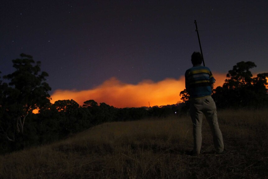 Mike Oborn looks at the approaching Sampson Flat bushfire near Humbug Scrub.